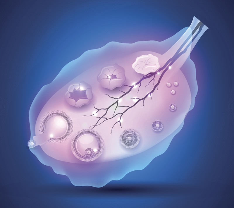 徐州试管婴儿多少钱够（20万一次够吗？徐州试管婴儿真实成功率